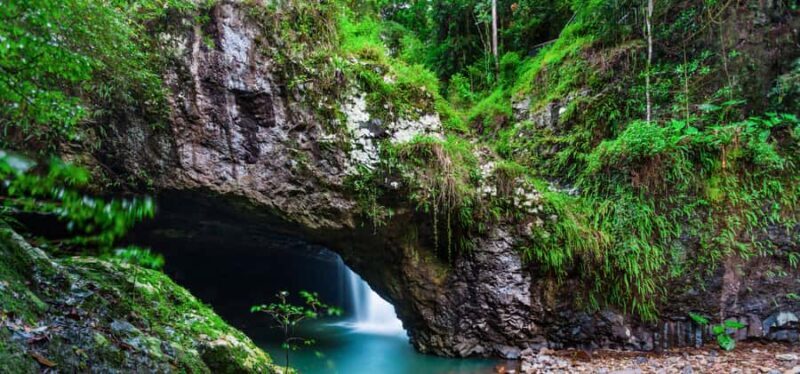 Spring Brook National Park Driving Tour with an APP - Who Will Love This Tour?