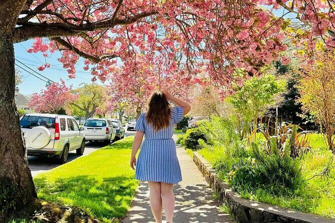 Spring Cherry Blossom Tour Victoria YYJ Airport Pickup - The Sum Up: Is This Tour Worth Your Time?