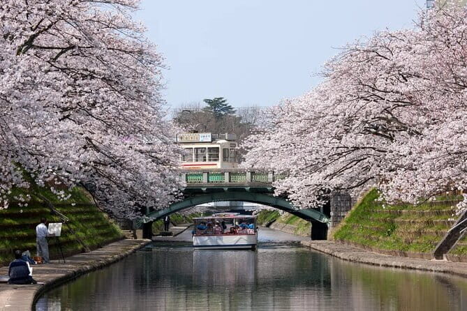 Spring Quartet & Matsukawa Sakura Tour in Toyama from Kanazawa - Who Will Love This Tour?