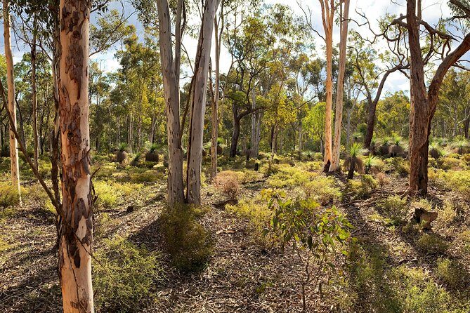 Spring Wildflower Private Day Tours - What’s Included and What to Expect
