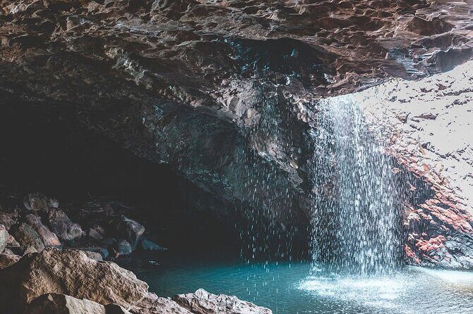 Springbrook andTamborine Rainforest Tour Incl Natural Bridge and Glow Worm Cave - Natural Bridge Walk and Wildlife Encounters