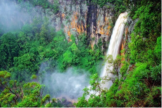 Springbrook Waterfalls & Natural Bridge Tour from Gold Coast - Key Points