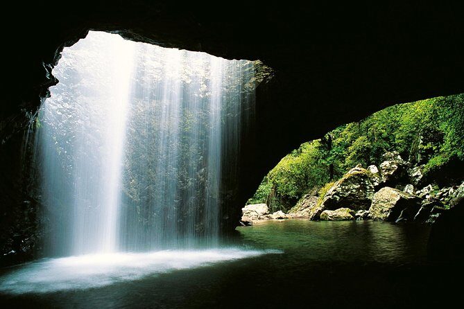 Springbrook Waterfalls & Natural Bridge Tour from Gold Coast - Why the Tour Offers Great Value
