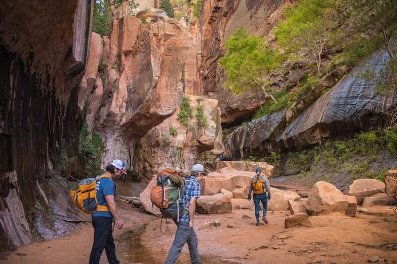 Springdale: Full-Day Zion National Park Canyoneering Tour - The Sum Up