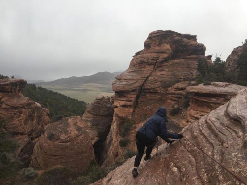 Springdale: Half-Day Canyoneering Experience - What’s Included and Why It Matters