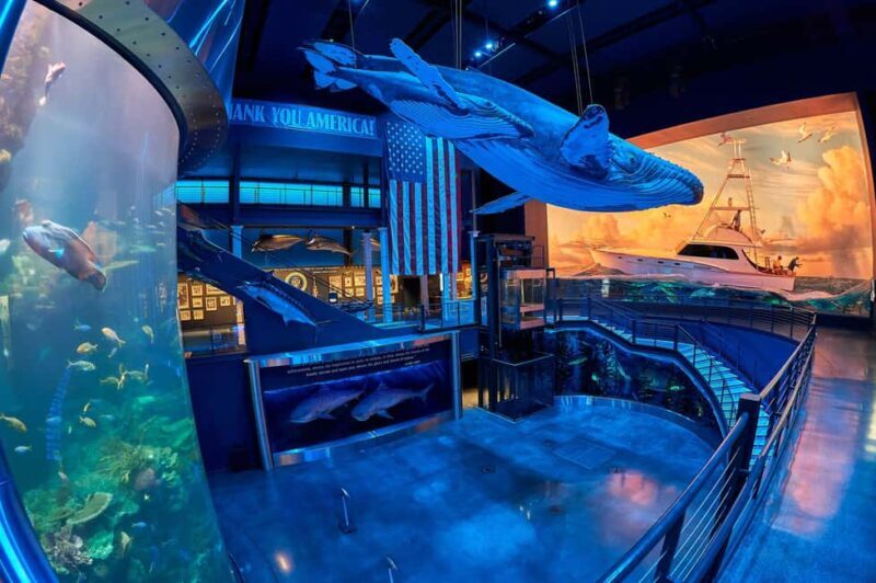 Springfield: Wonders of Wildlife National Museum & Aquarium - Is it Worth the Price?
