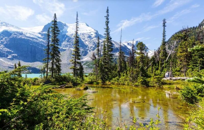 Squamish-Lillooet: Joffre Lakes Guided Hike - The Itinerary: From Lakeside Serenity to Glacial Majesty