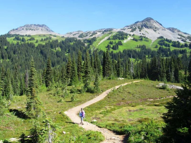 Squamish/Whistler: Garibaldi Park Panorama Ridge Guided Hike - The Itinerary: What to Expect from Start to Finish