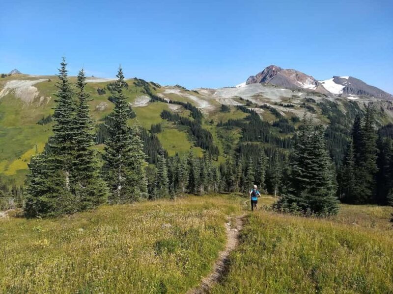 Squamish/Whistler: Garibaldi Park Panorama Ridge Guided Hike - Summary