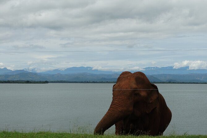 Sri-Lanka - 2 Days Galle Tour from Colombo by Train - An In-Depth Review of the 2-Day Galle Tour from Colombo