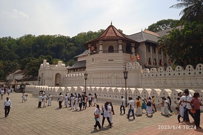 Sri Lanka 8 days Tours with Privet Vehicle & Accommodations (B/B) - Who Should Consider This Tour?
