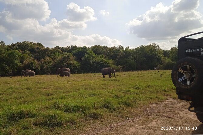 Sri Lanka 8 days Tours with Privet Vehicle & Accommodations (B/B) - Frequently Asked Questions