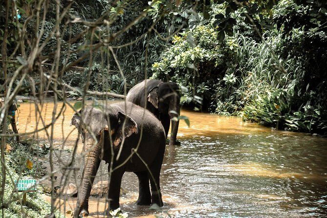 Sri Lanka Aborigine Tour (4 Days) - Frequently Asked Questions