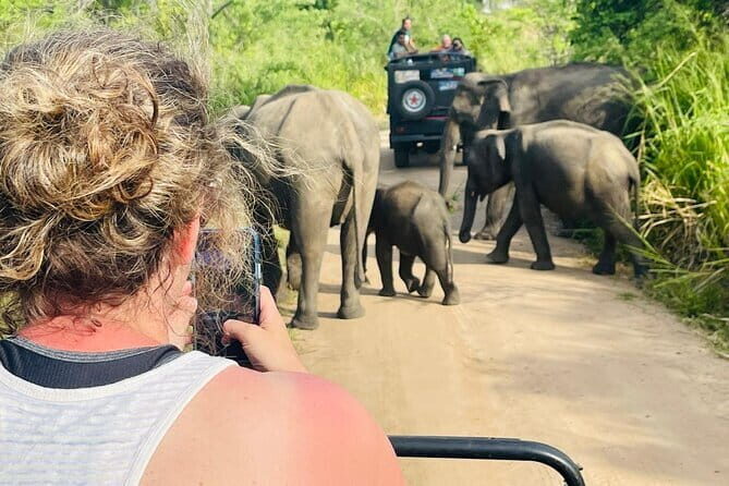 Sri Lanka Adventure and Camping Tour - FAQs