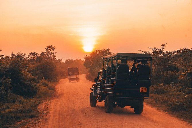 Sri Lanka budget tour package 8 days with driver,vehicle and H/B accommodations. - Authentic Experiences and Practical Tips