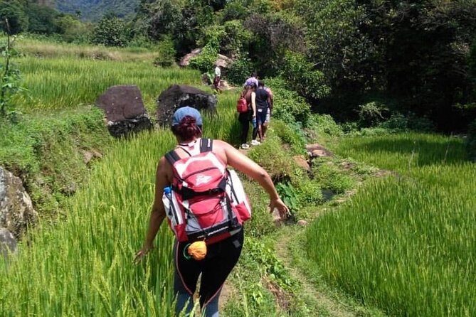 Sri Lanka budget tour package 8 days with driver,vehicle and H/B accommodations. - The Sum Up