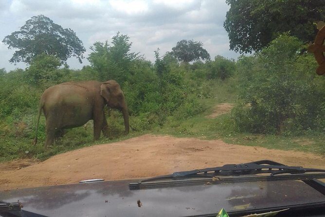 Sri Lanka Experience - 12 Days Private Tour - Final Thoughts