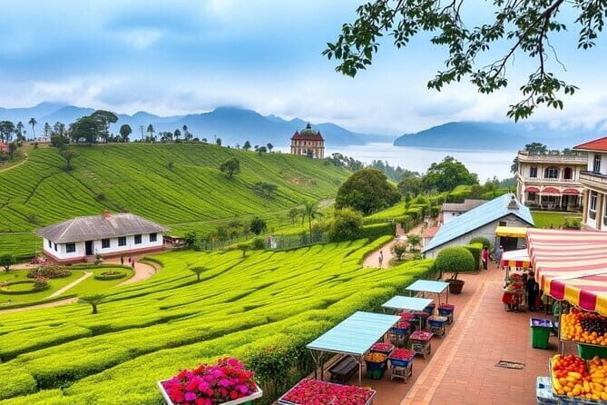 Sri Lanka Experience for 12 days-Private Basis - An In-Depth Look at the 12-Day Itinerary