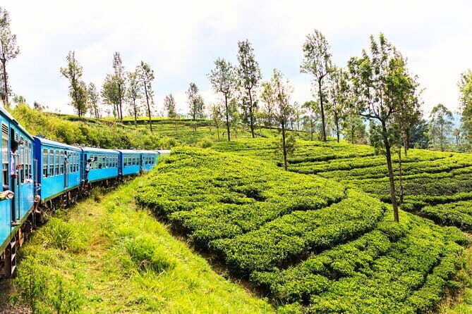 Sri Lanka Full Circle 4-Day Private Tour - A Day-by-Day Breakdown of the Sri Lanka Full Circle Tour