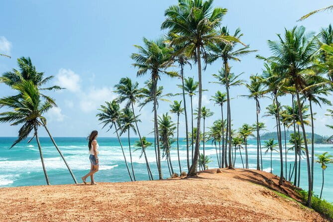 Sri Lanka full circle on beaten path 4 day tour with hotels - A Deep Dive into the 4-Day Sri Lanka Tour