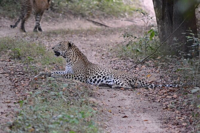 Sri Lanka full circle on beaten path 4 day tour with hotels - What’s Included and What’s Not?