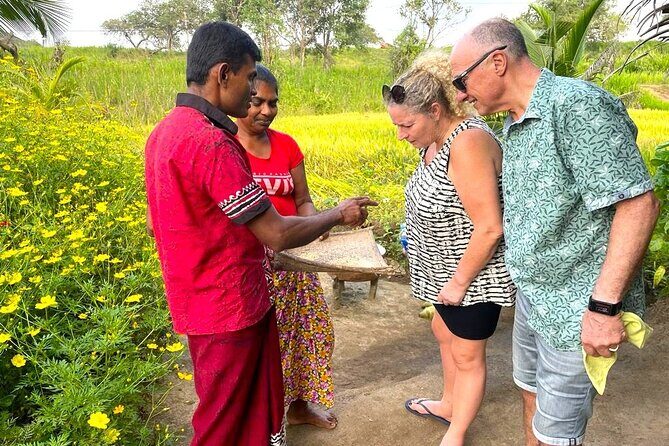 Sri Lanka in 06 Days - A Deep Dive into the 6-Day Sri Lanka Experience