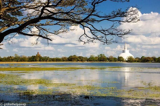 Sri Lanka Multi Day Car Hire with English Speaking Driver-Guide - In-Depth Look at the Itinerary and Experience