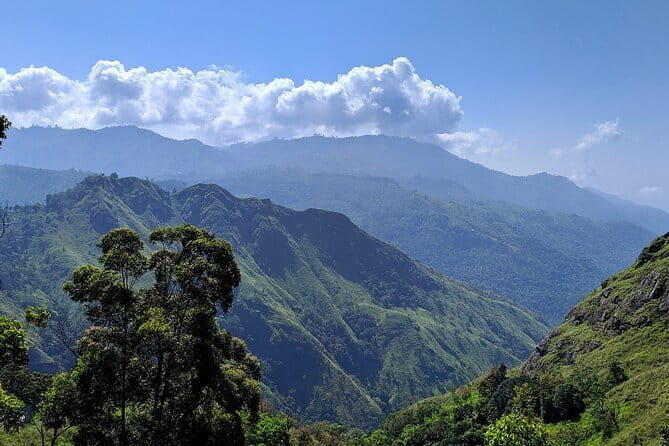 Sri Lanka Multi Day tour Budget Car Rent by English Driver-Guide - The Vehicle and Comfort