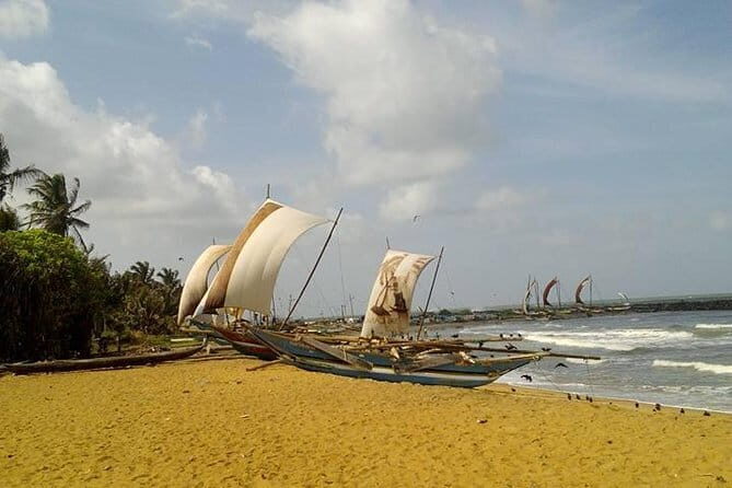 Sri Lanka Nature, Culture and Wild tour - Why This Tour Offers Great Value
