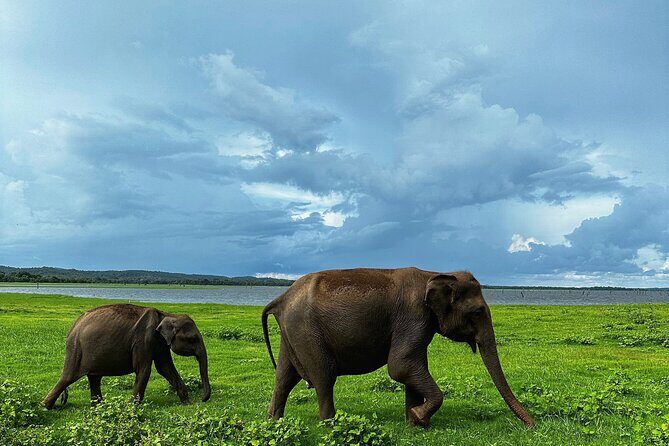 Sri Lanka Personal Tour Driver in private vehicle - Why Choose a Private Driver in Sri Lanka?