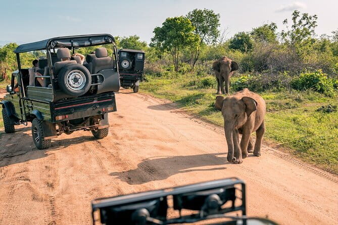 Sri Lanka Private Holiday Round Tour with Driver & Vehicle - A Detailed Exploration of the Sri Lanka Private Round Tour