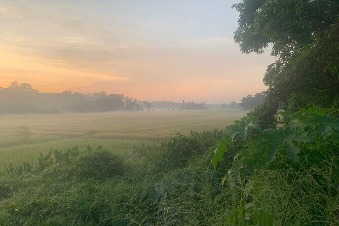 Sri Lanka - Private Ratnapura Gem Tour with Gem and jewelry Expert - Discover the Sparkle of Sri Lanka: A Detailed Review of the Private Ratnapura Gem Tour