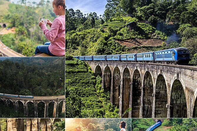 Sri Lanka Private Tour 10 DAYS Driver/Vehicle/Accommodation H/B - What’s Included and What to Expect