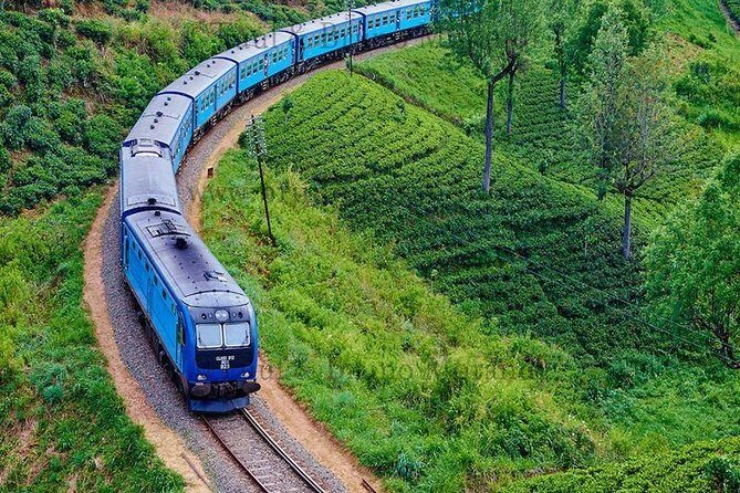 Sri Lanka Private Tour 10 DAYS Driver/Vehicle/Accommodation H/B - Who Should Consider This Tour?