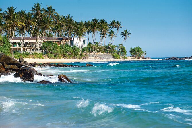Sri Lanka Private Tour 8 days-Driver/vehicle/accommodation H/B - Wrapping Up: End of the Tour and Airport Transfer