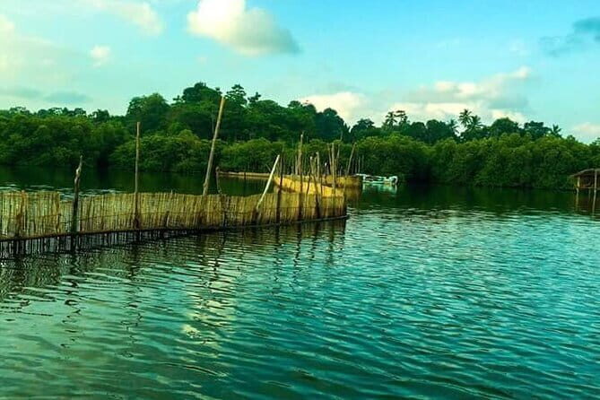 Sri Lanka Private Tour Guide, Driver with Car - The Itinerary Breakdown: A Day-by-Day Perspective