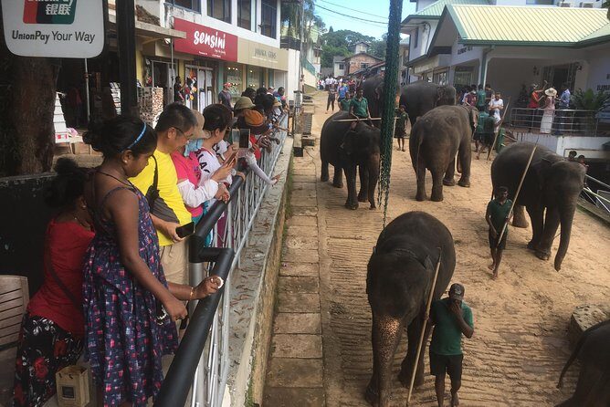Sri Lanka round tour - Introduction