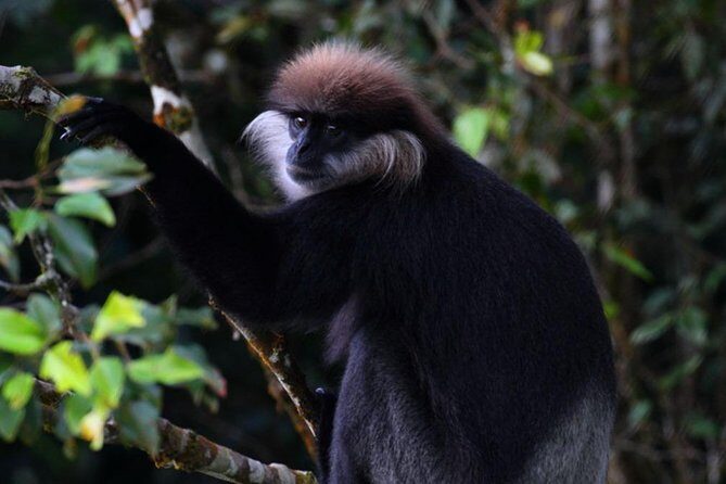 Sri Lanka Sinharaja Rain Forest Tour with Transport - The Itinerary in Detail