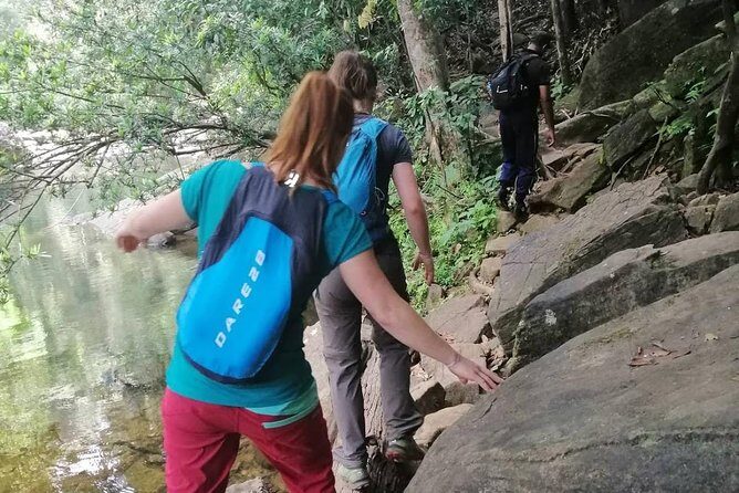 Sri Lanka Sinharaja Rain Forest Tour with Transport - Transportation and Practicalities