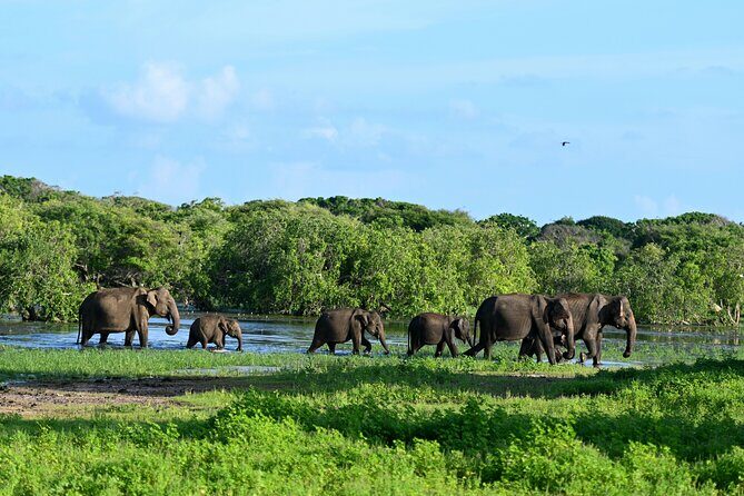 Sri Lanka Tour in 6 Days with 3 Star Hotels and Private Car - Final Thoughts