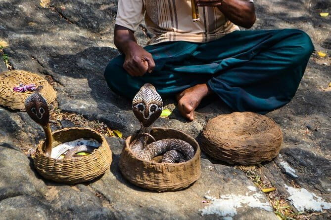 Sri Lanka tour package for 5 nights - What’s the Value of This Tour?