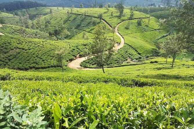 Sri Lankan Tourist Driver with great local )knowledge all over the country! - FAQs