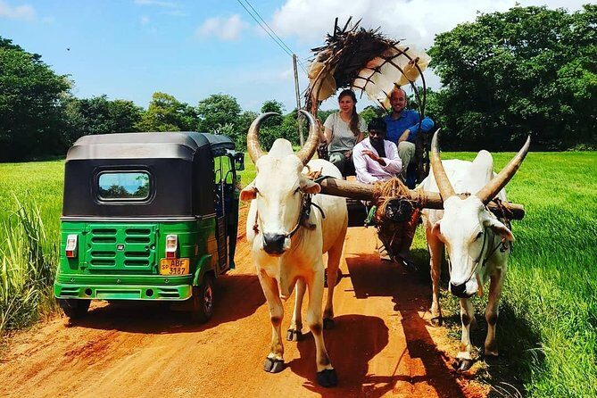 Sri Lankan Village Tour With Cooking Class - Who Will Love This Tour?