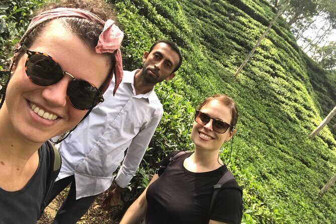 Srimangal nature tour in forest and tea garden - Deep Dive: What to Expect from the Srimangal Nature Tour