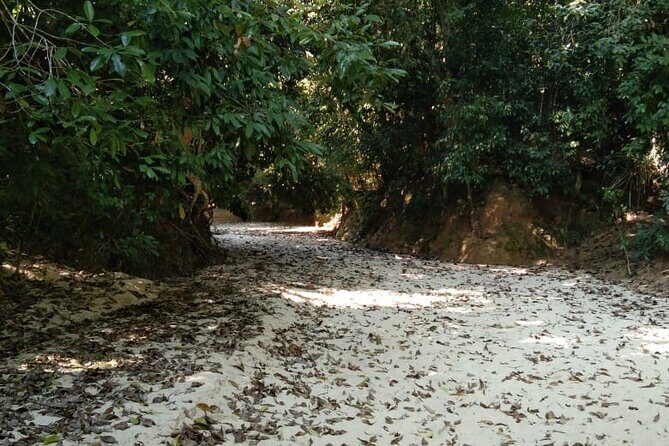 Srimangal nature tour in forest and tea garden - Who Should Consider This Tour?