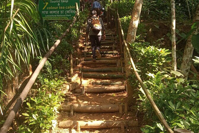 Srimangal nature tour in forest and tea garden - Final Thoughts: Is This Tour Worth It?