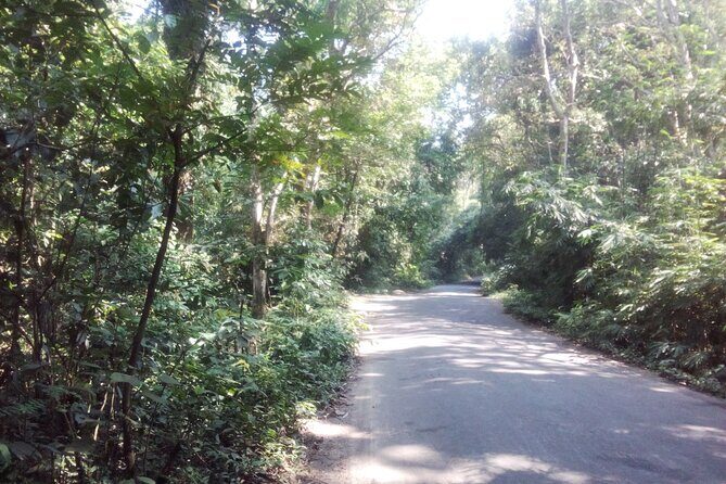 Srimangal nature tour in forest and tea garden - FAQ: Your Practical Questions Answered