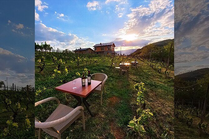 S&S Winery - Wine Tasting Experience in Ohrid - Practical Tips and Considerations