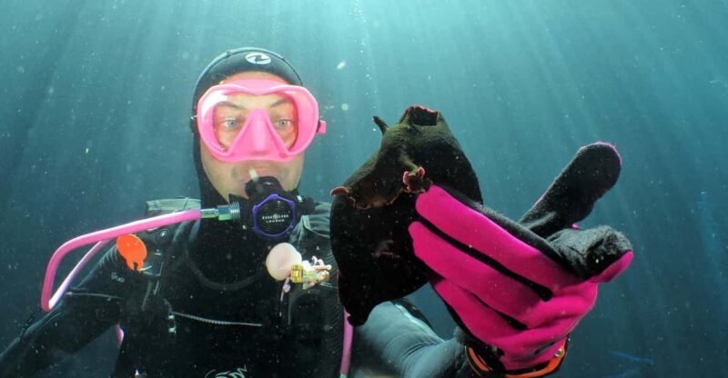 SSI Try Scuba Diving in the sea - Key Points