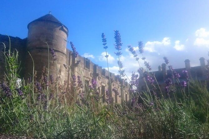 St Andrews, Falkland and Fife Villages Tour from Edinburgh - The Overall Experience: What We Love and What to Consider